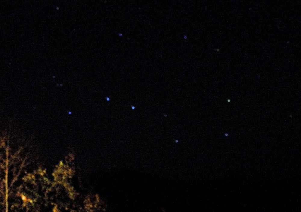 Большая  Медведица