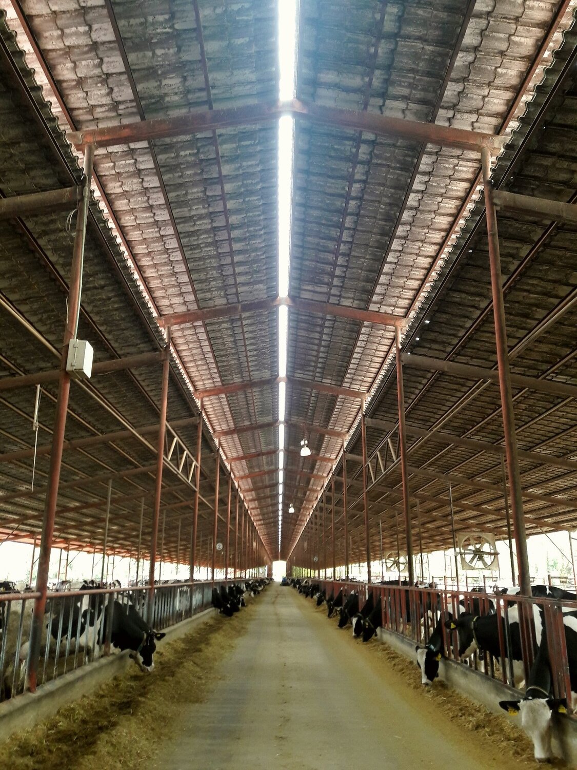 Stables