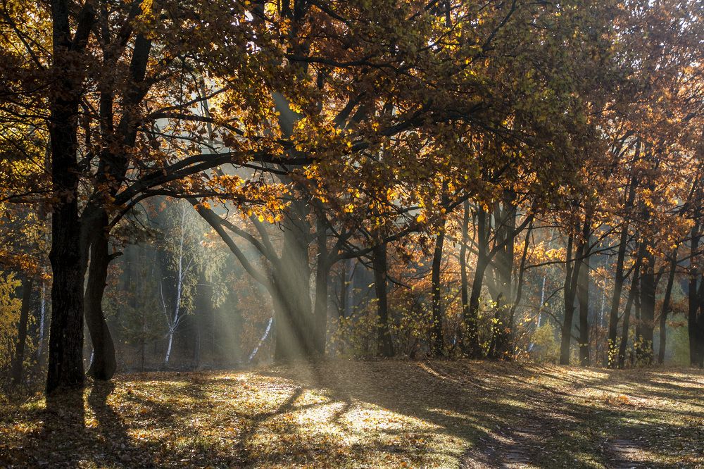 Осенний денек.