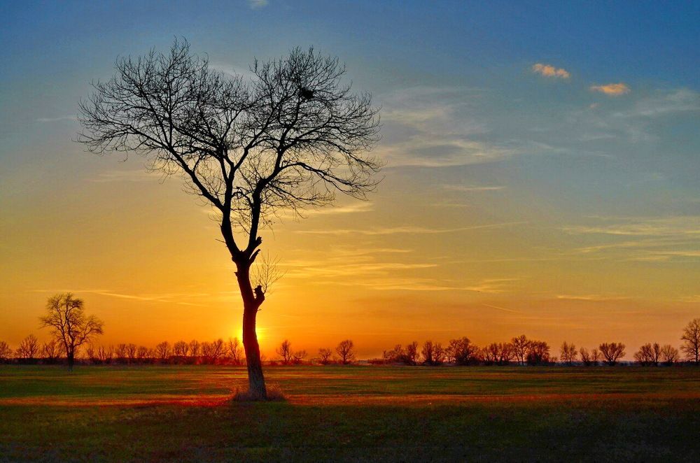 Одиночество