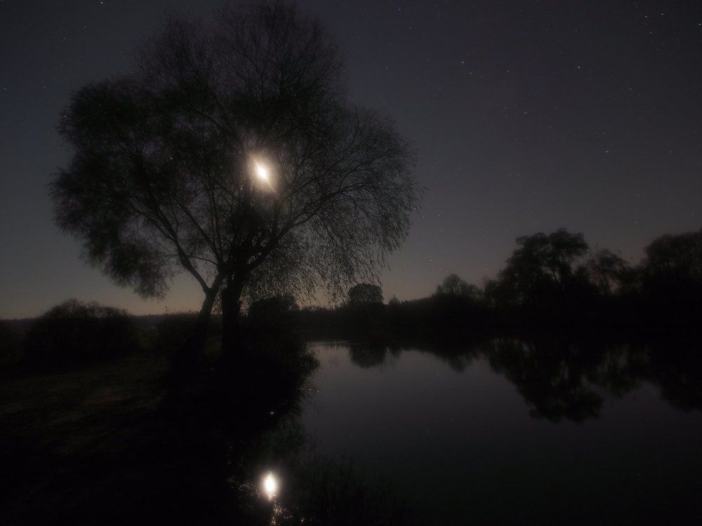 На берегу реки Воронеж 2.