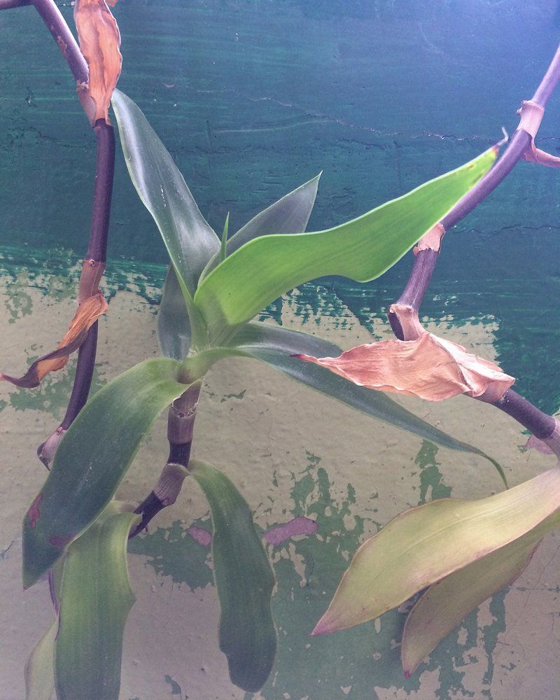 Эклектичный подъезд