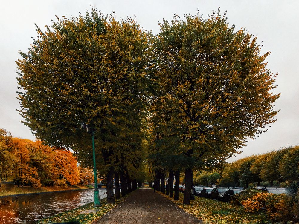 Золотая осень в Санкт-Петербурге. Октябрь 2018 г.