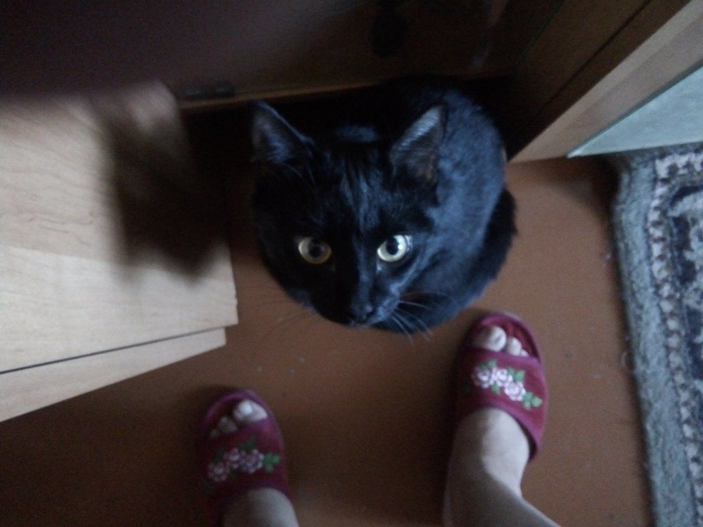 Ну, возьми меня на ручки...