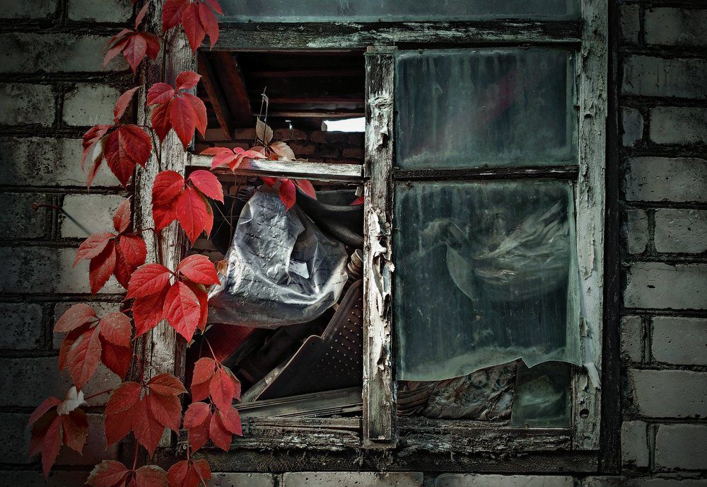 НАСТРОЕНИЕ ОСЕНЬ