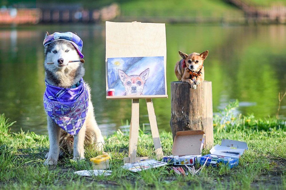 Собака художник