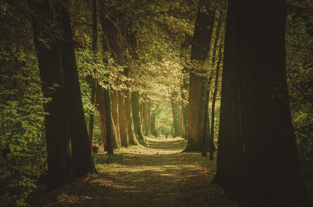 Photograph by Дарья Тучашвили