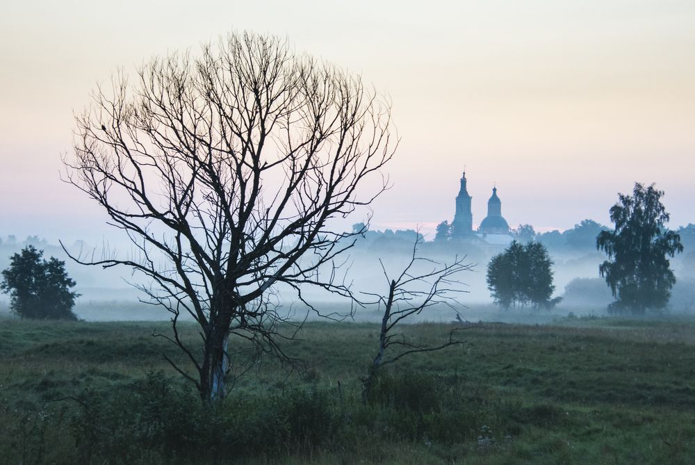 Перед рассветом