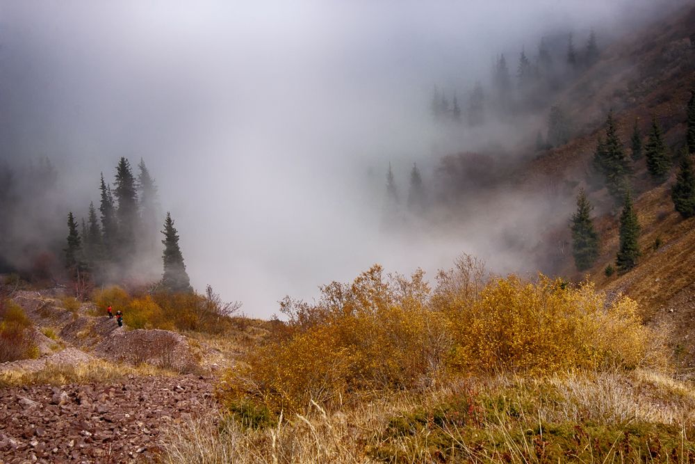 Магия тумана