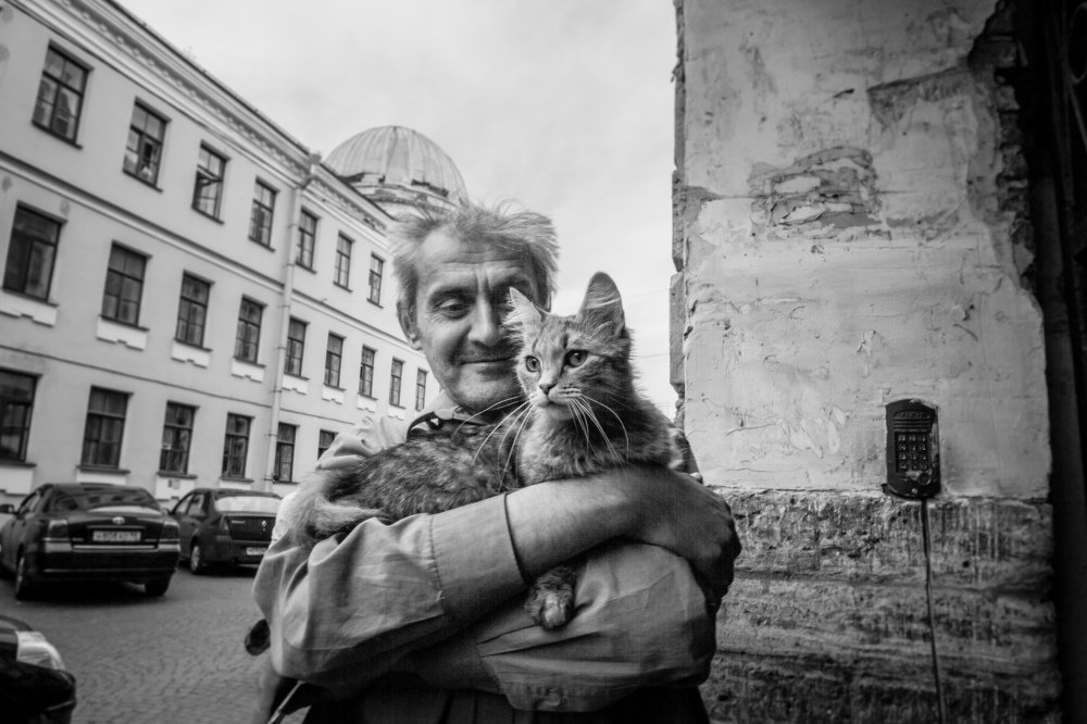 Человек и Кошка