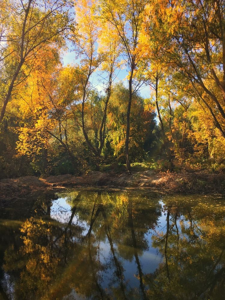 Не унылая пора и очей очарованье...
