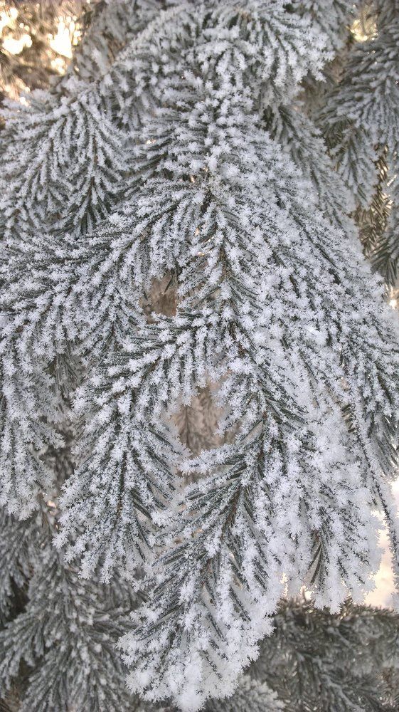 Photograph by Ольга