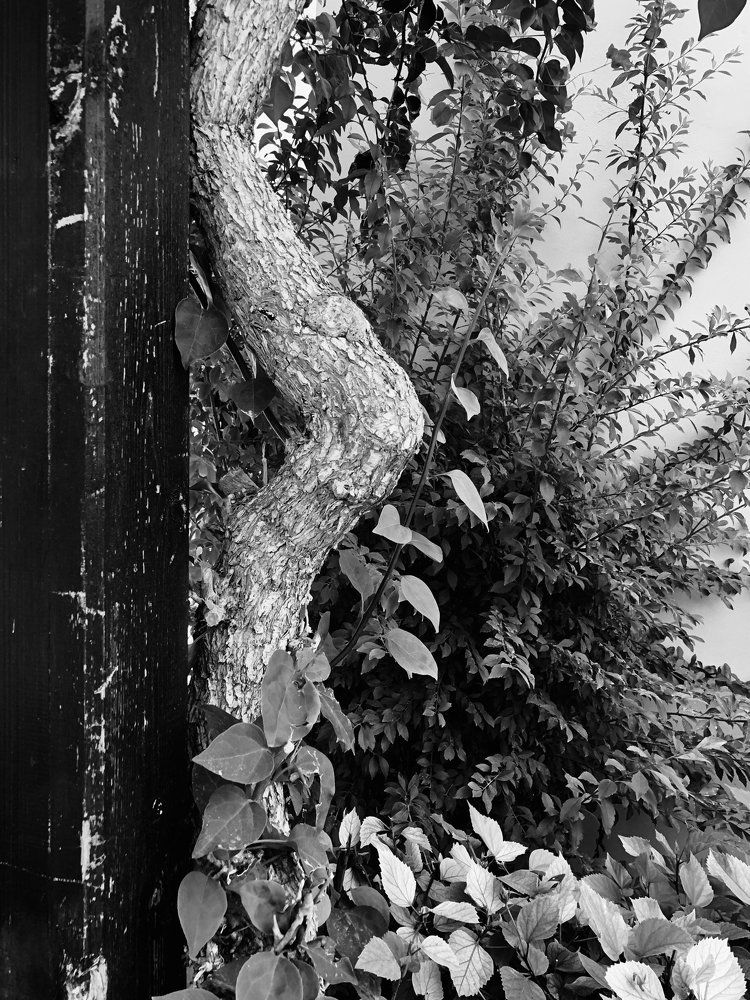 Photograph by Наталья Никитина