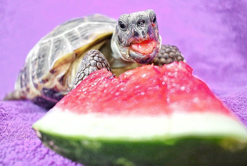 Фотография автора Мария Яропольская