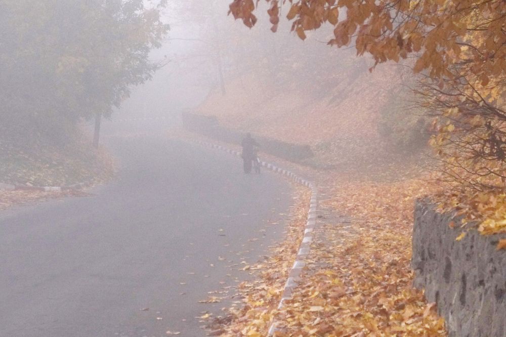 Дорога в осень