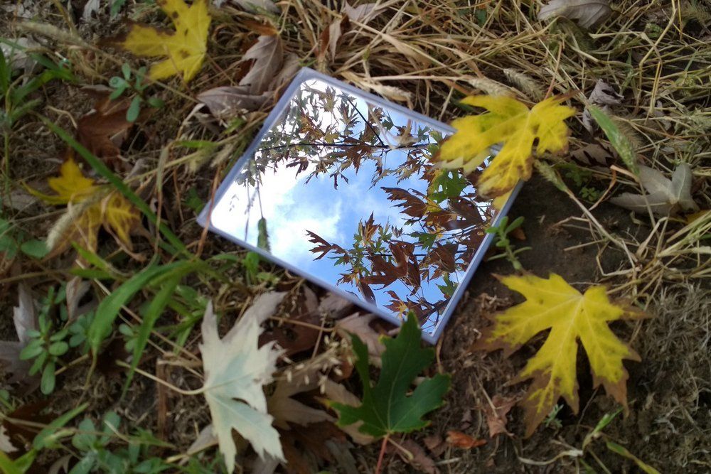 Земля и небо