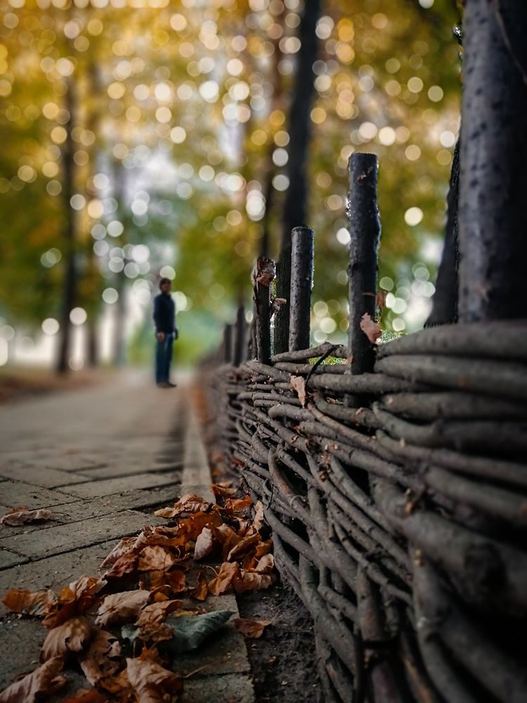 Вдохновение осени