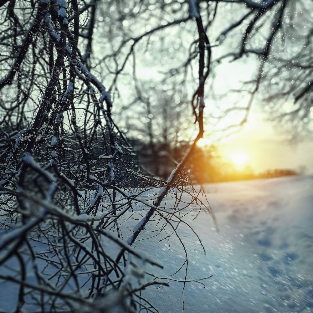 Серебро и золото