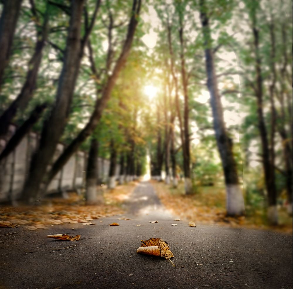 Только солнце расплывается и звучит