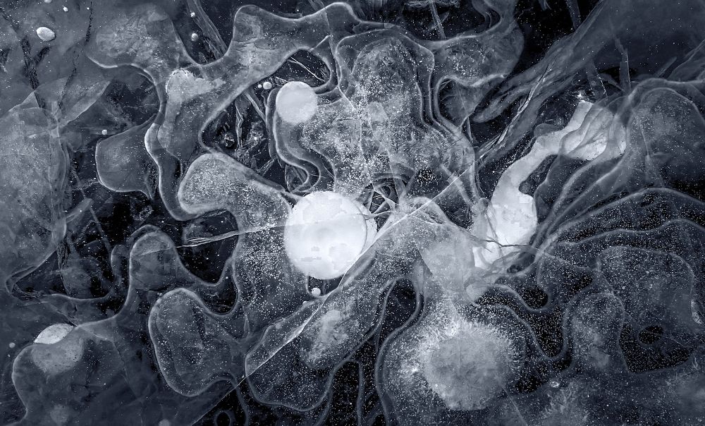 Байкальская жемчужница