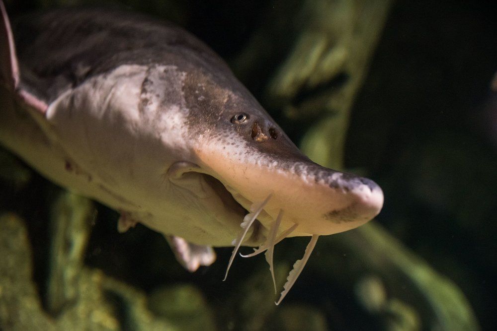 Подводный мир