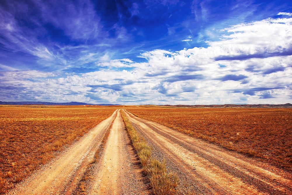 Дорога домой