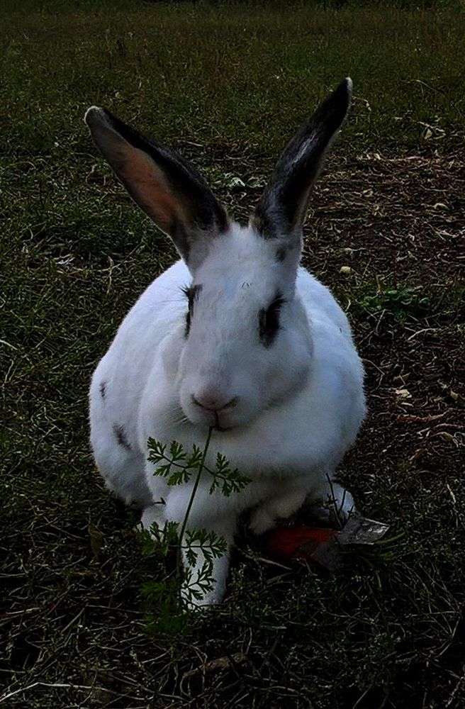 Photograph by Ольга