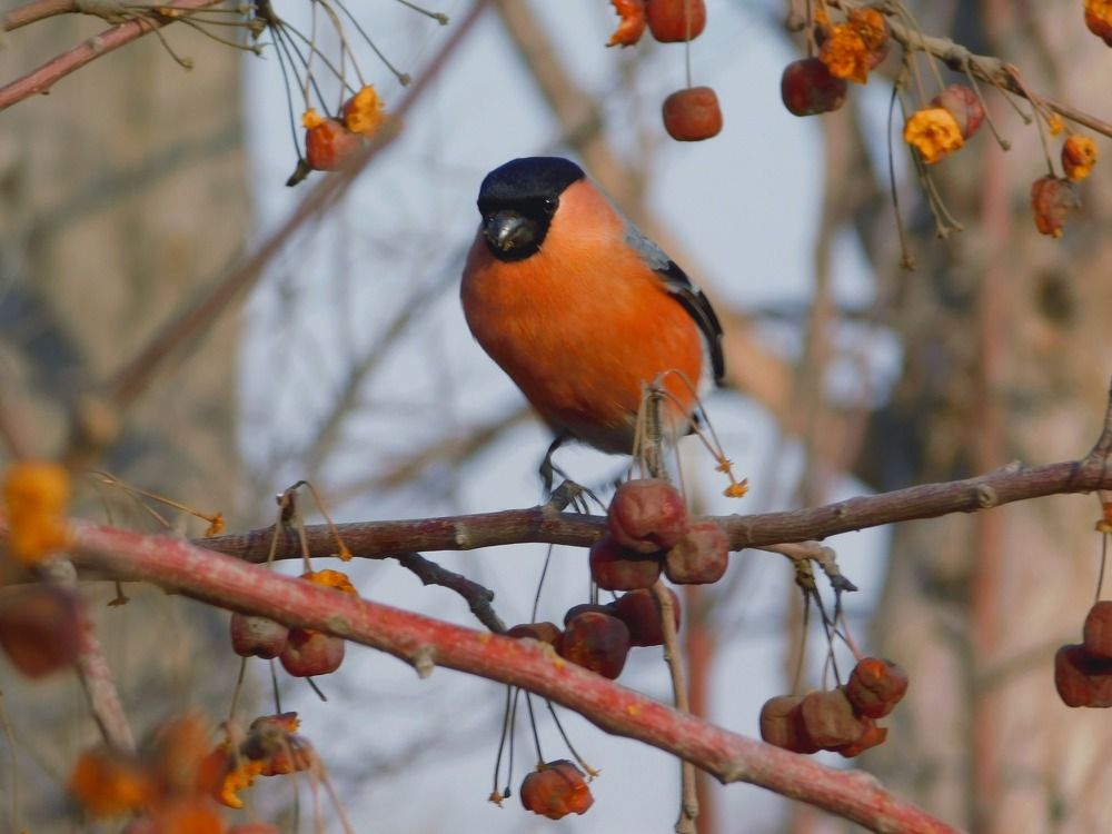 Photograph by Никита Николаевич Данилов