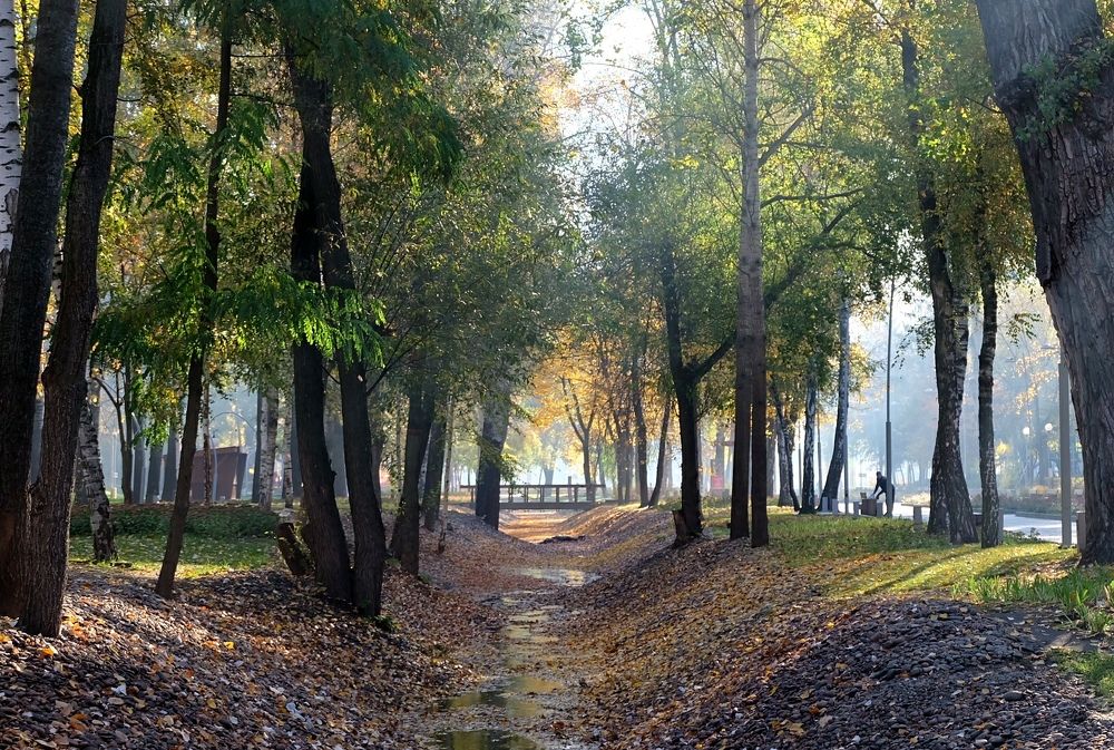 Photograph by Анна Панкратова