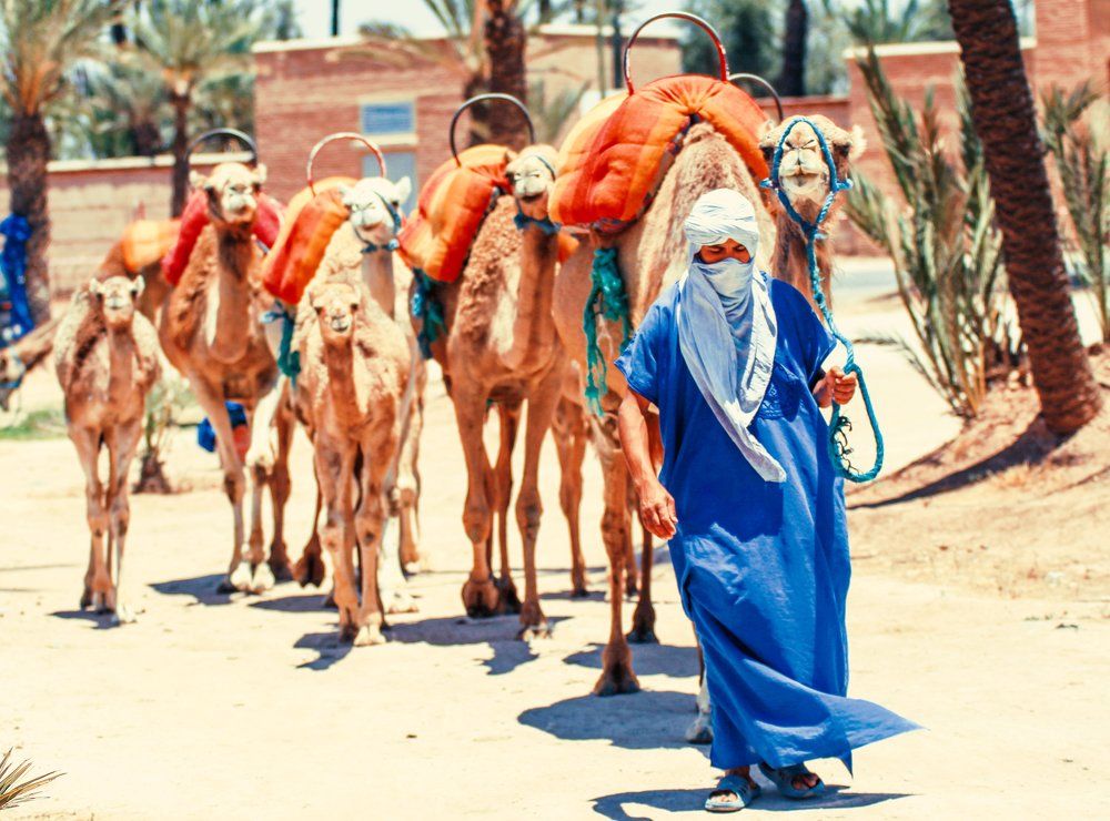 Photograph by abdelilah said