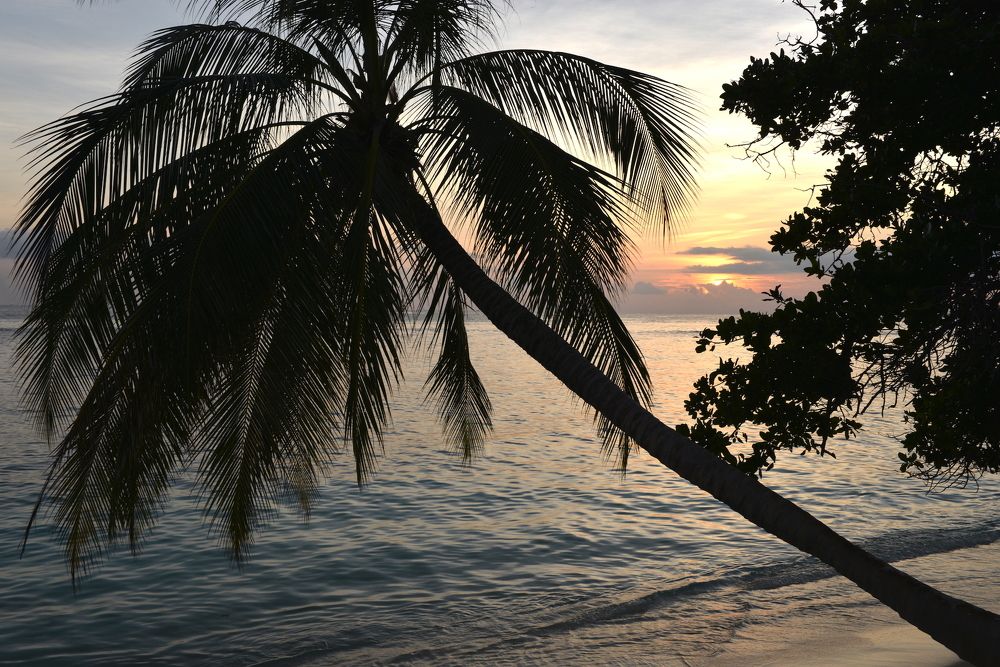 Фотография автора Степин Геннадий
