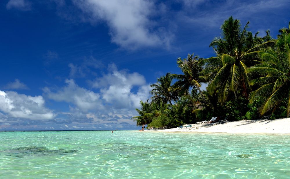 Фотография автора Степин Геннадий