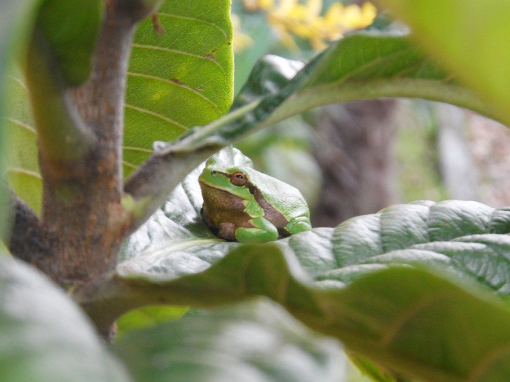 Photograph by Ирина Корнева