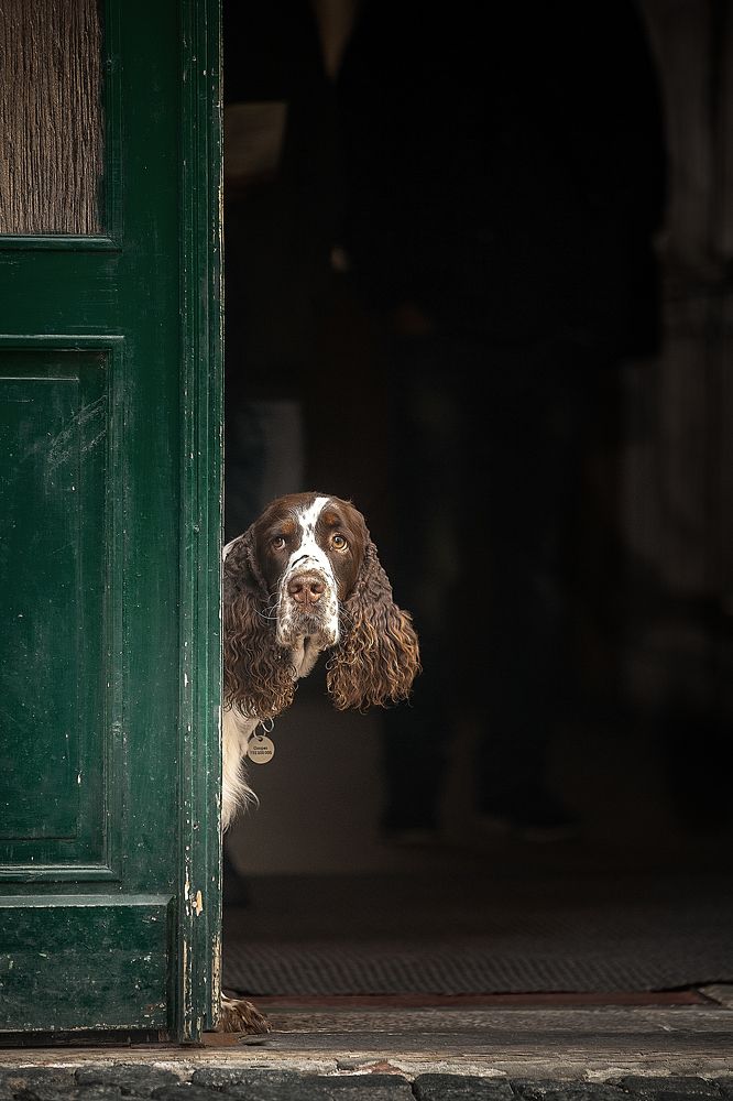 Как погода?