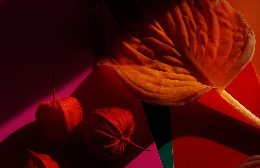 Photograph by Станислав Ситников