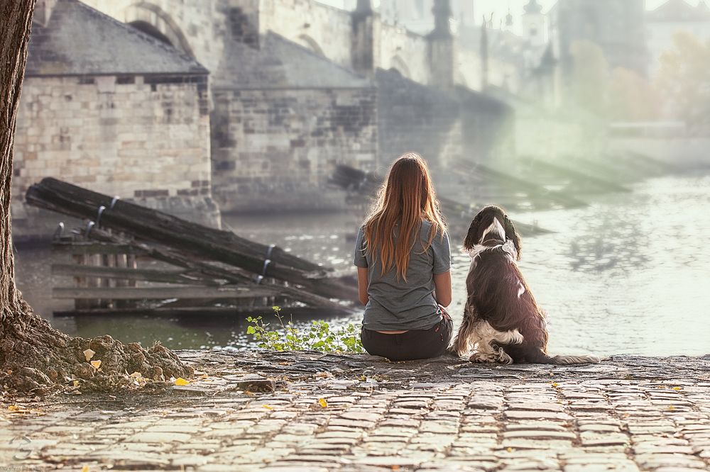 Утро над Влтавой