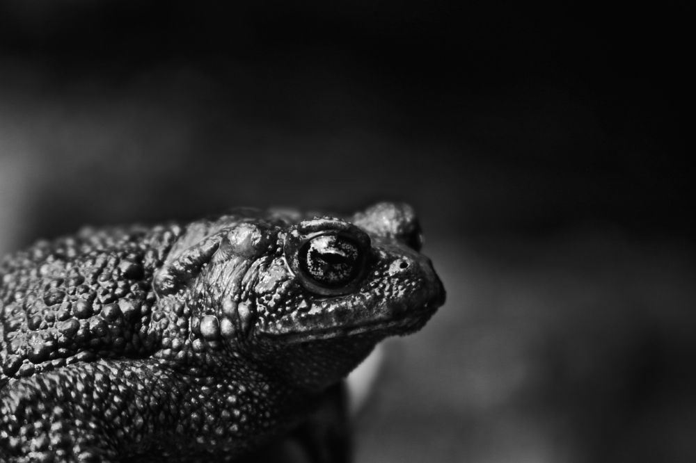 Photograph by Дарья Арапова