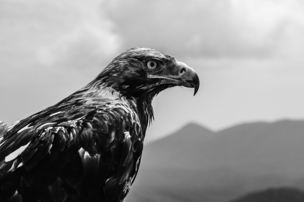 Photograph by Дарья Арапова