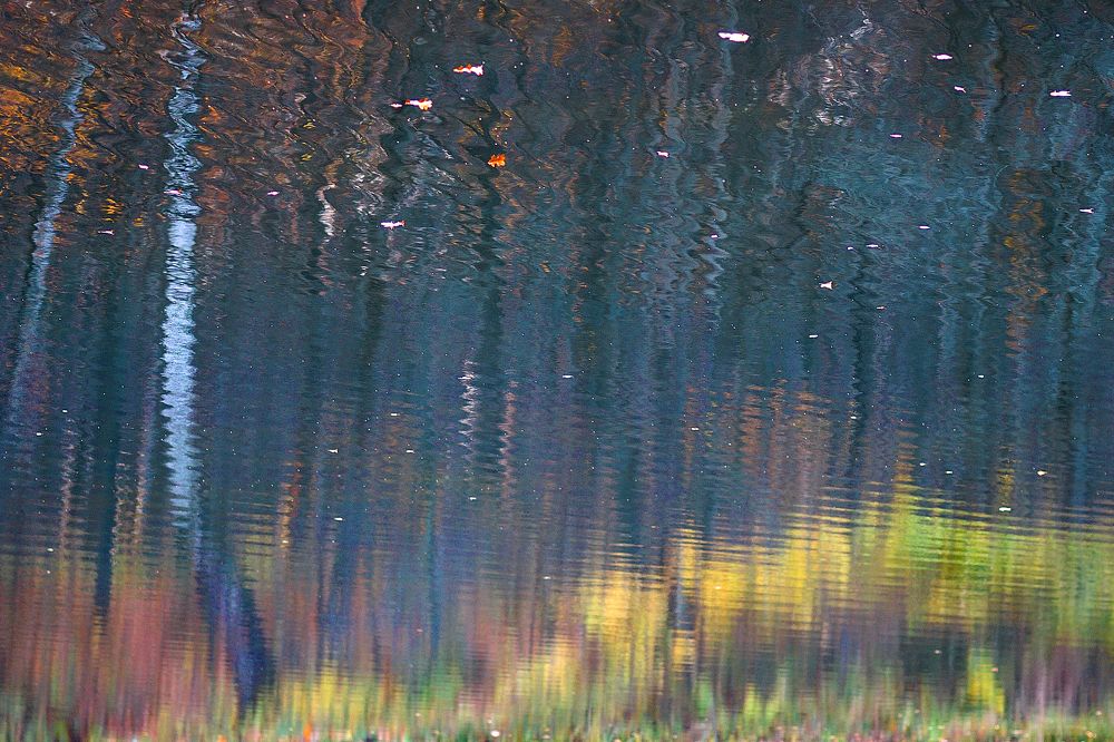 Осенний бриз