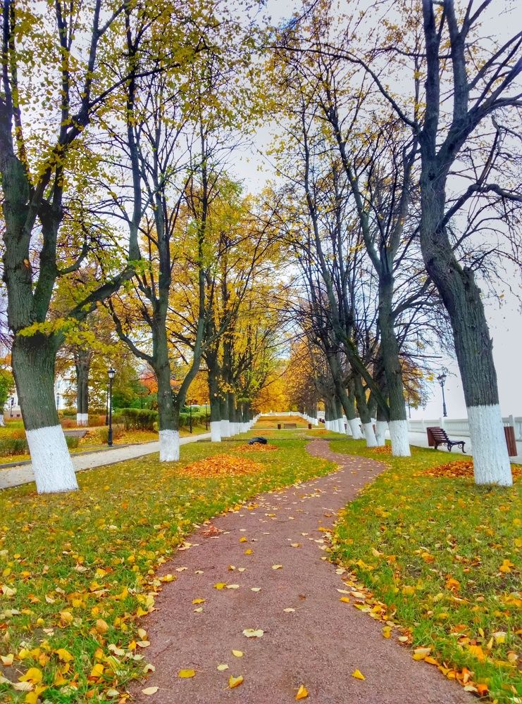 Золотая осень