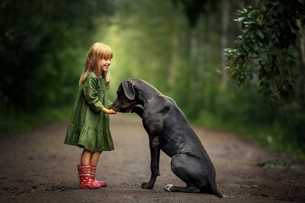 Photograph by Светлана Шелеметева