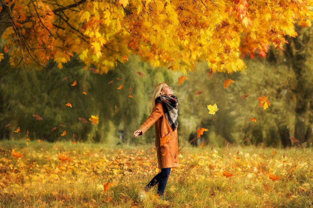 Кленовая феерия