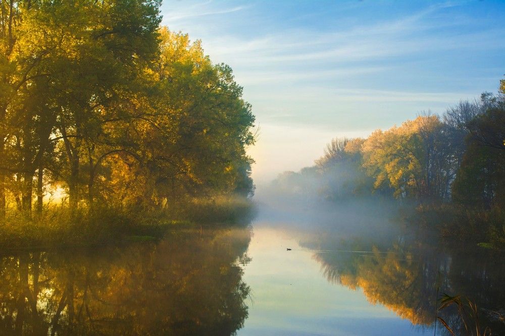 Где живет тишина.