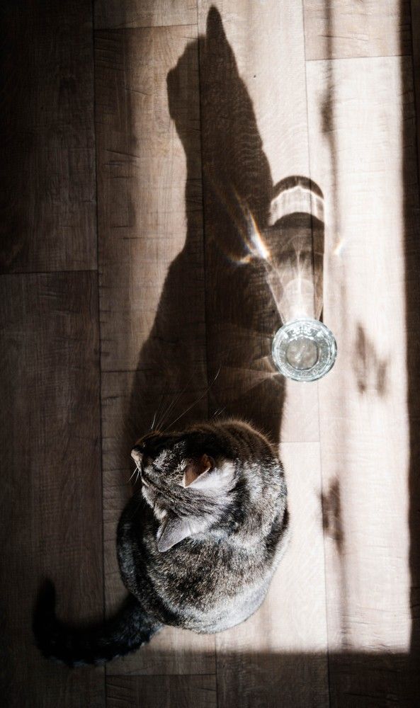 Light and shadow