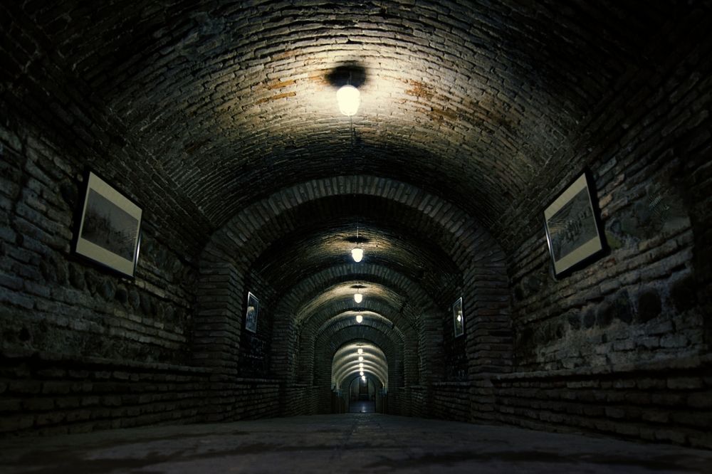 Photograph by Vladimir Barenboym