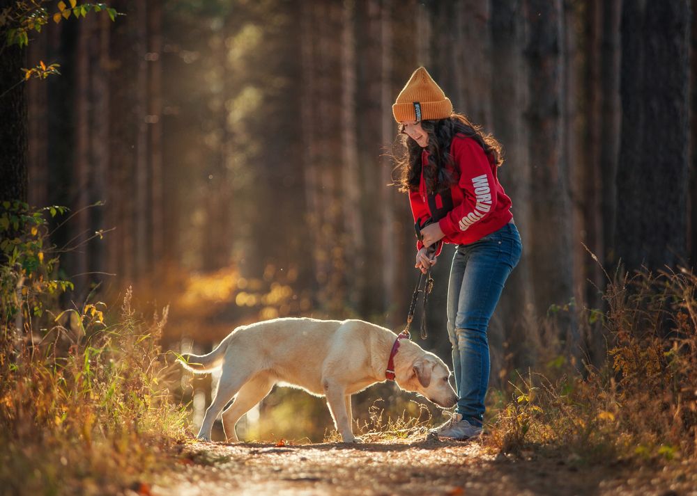 Прогулка в лесу
