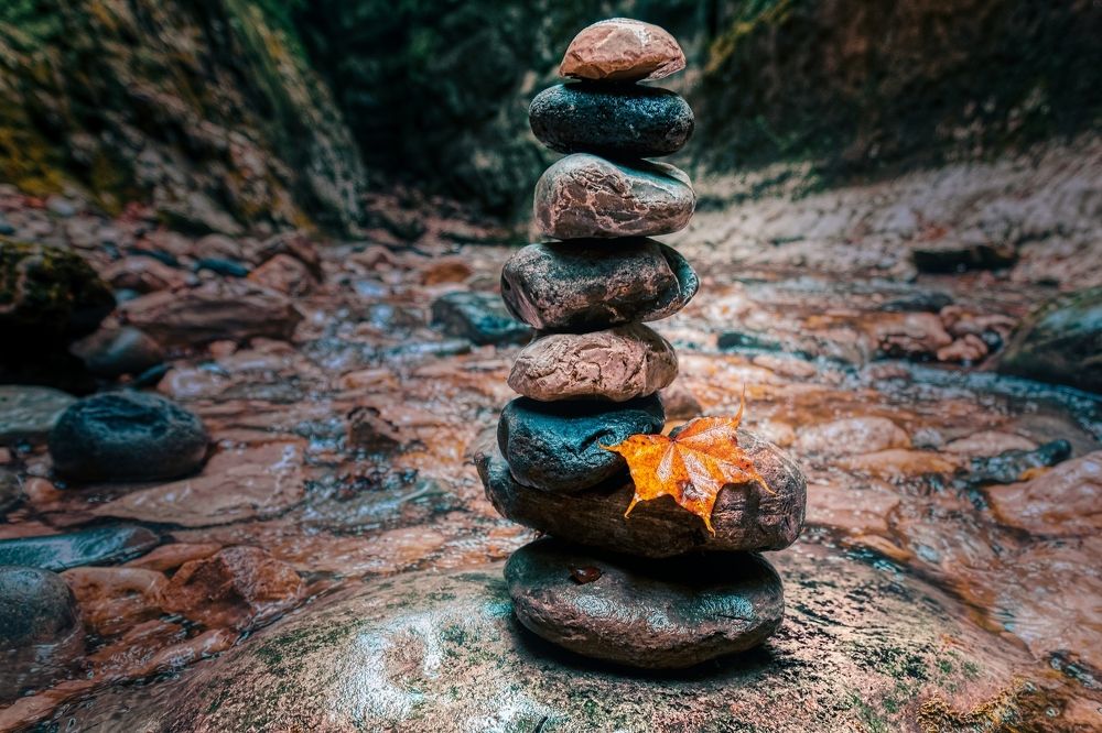 Photograph by Vladimir Barenboym