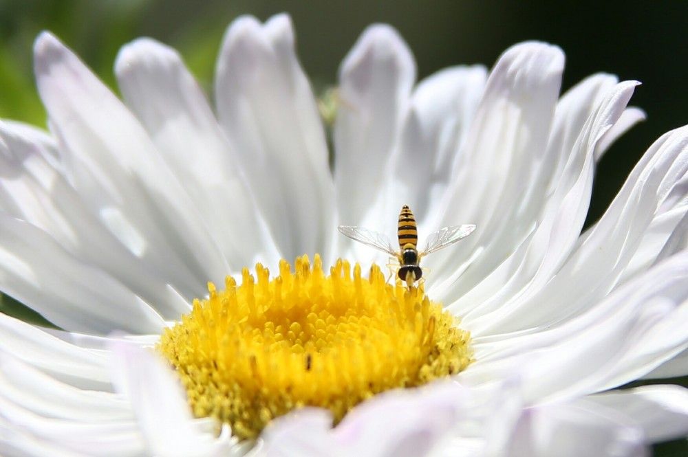 Это было летом