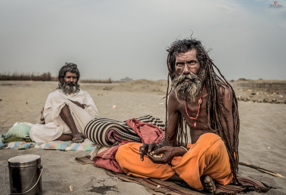 A Old Sadhu Portrait