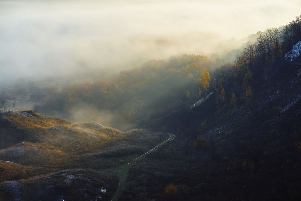 Утренний туман